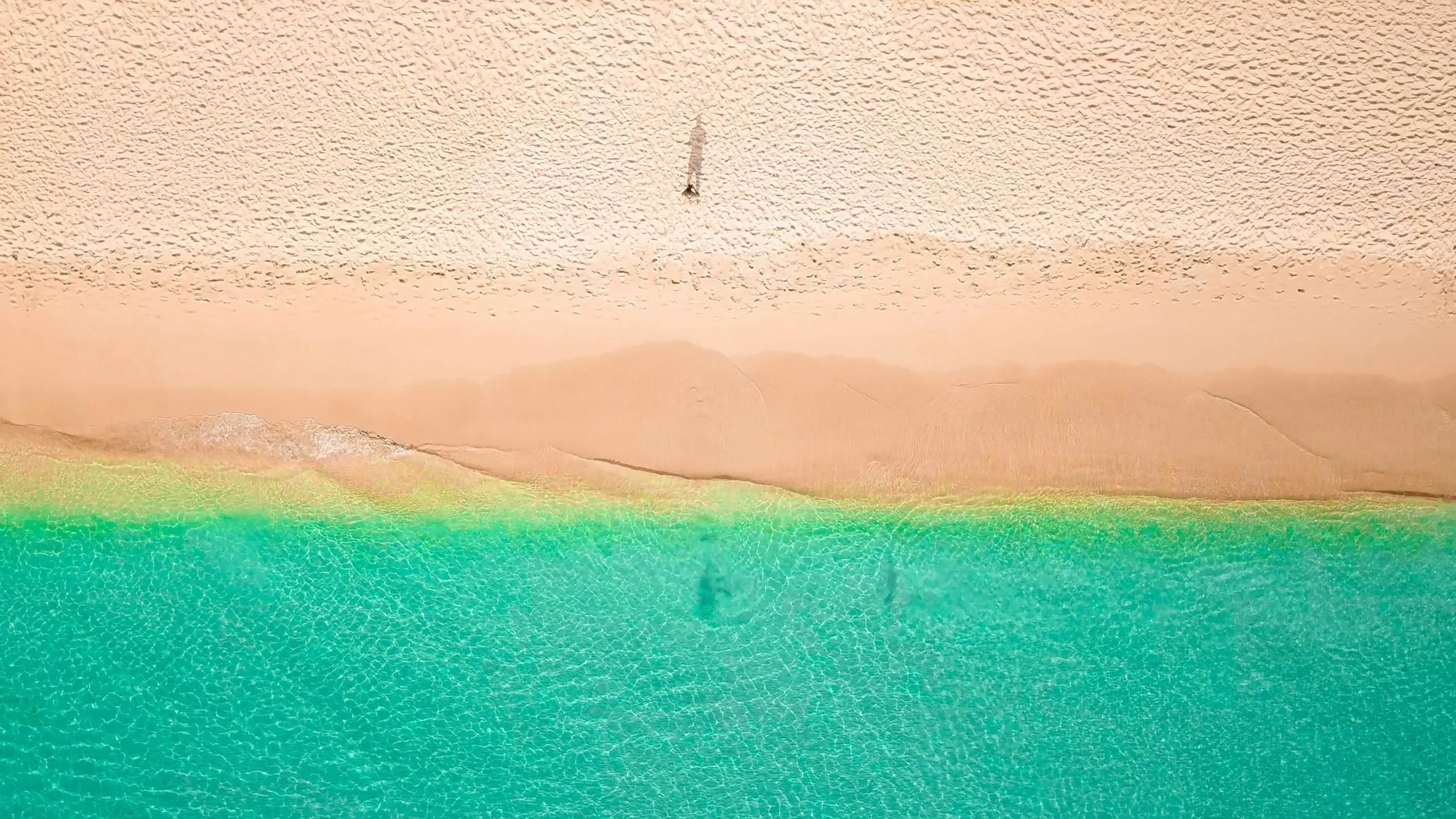 A breathtaking drone shot of Holetown Beach, Barbados, showcasing turquoise waters and golden sand.
